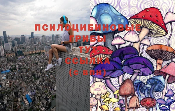 гашик Костерёво