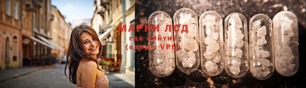 индика Коряжма