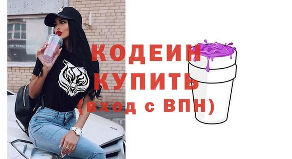 гашик Костерёво