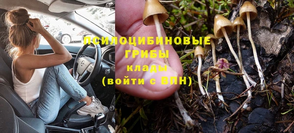 герыч Корсаков