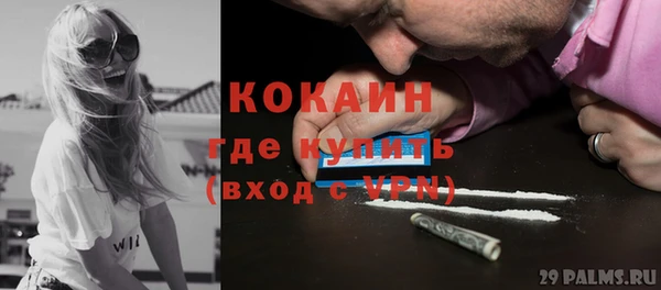 индика Коряжма