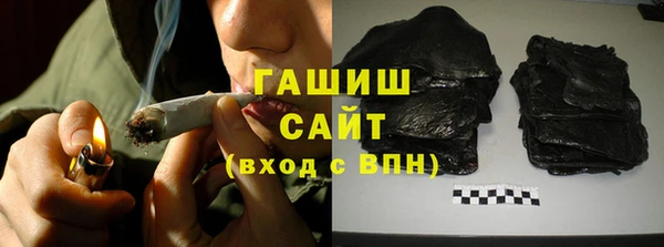 индика Коряжма