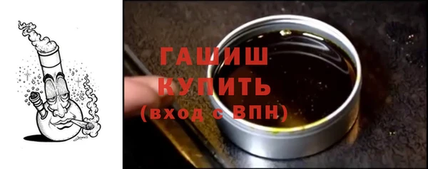 индика Коряжма
