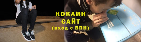 гашик Костерёво
