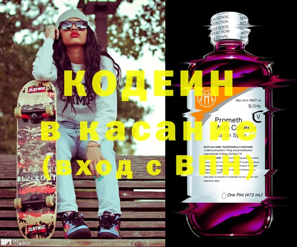 индика Коряжма