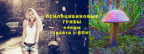 гашик Костерёво