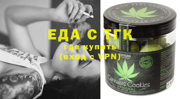 индика Коряжма