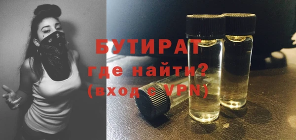 индика Коряжма