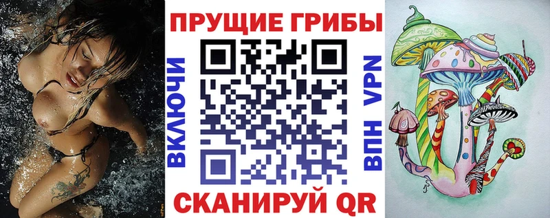 Псилоцибиновые грибы Psilocybe Малгобек