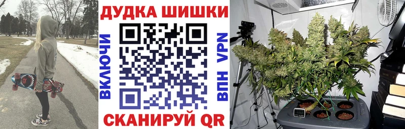 Бошки марихуана тримм  MEGA рабочий сайт  Малгобек  что такое наркотик 